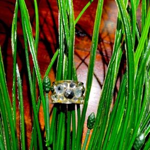 Silver ring with diamond studs